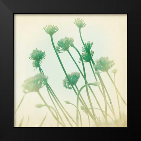 Faded Away II Black Modern Wood Framed Art Print by Jorgensen, Jennifer