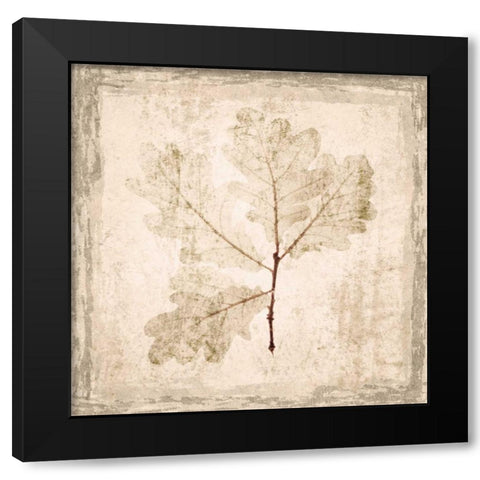 Stone Leaf III Black Modern Wood Framed Art Print with Double Matting by Orlov, Irena