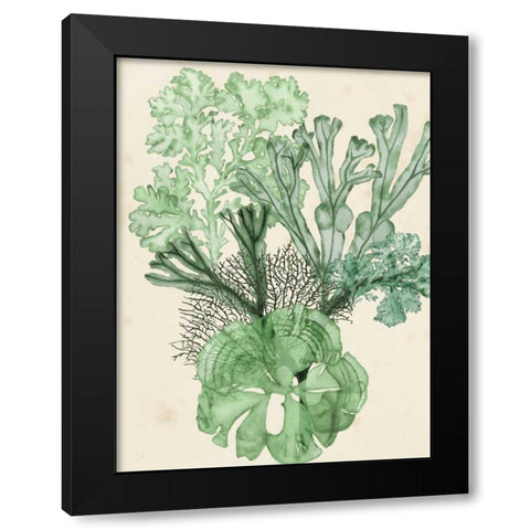 Seaweed Composition I Black Modern Wood Framed Art Print by McCavitt, Naomi