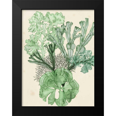 Seaweed Composition I Black Modern Wood Framed Art Print by McCavitt, Naomi