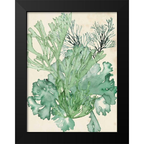 Seaweed Composition II Black Modern Wood Framed Art Print by McCavitt, Naomi