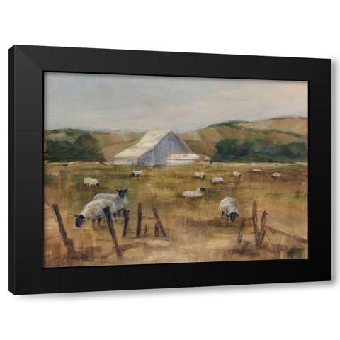 Grazing Sheep I Black Modern Wood Framed Art Print with Double Matting by Harper, Ethan