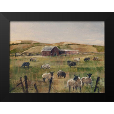 Grazing Sheep II Black Modern Wood Framed Art Print by Harper, Ethan