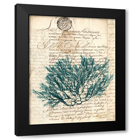 Vintage Teal Seaweed I Black Modern Wood Framed Art Print with Double Matting by Vision Studio