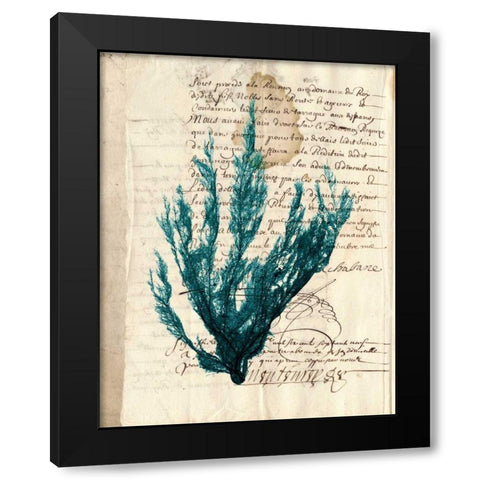 Vintage Teal Seaweed II Black Modern Wood Framed Art Print by Vision Studio