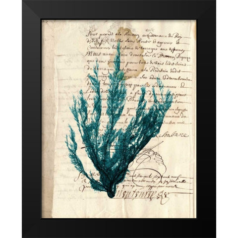 Vintage Teal Seaweed II Black Modern Wood Framed Art Print by Vision Studio