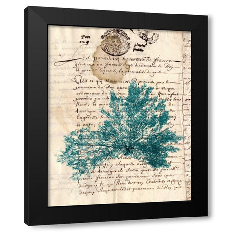 Vintage Teal Seaweed III Black Modern Wood Framed Art Print by Vision Studio