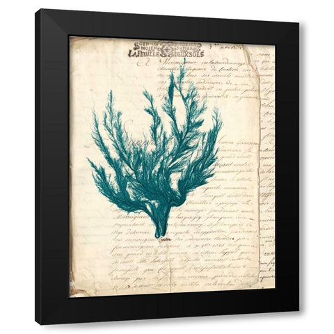 Vintage Teal Seaweed V Black Modern Wood Framed Art Print by Vision Studio