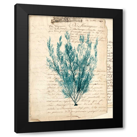 Vintage Teal Seaweed VII Black Modern Wood Framed Art Print by Vision Studio