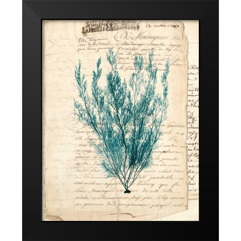 Vintage Teal Seaweed VII Black Modern Wood Framed Art Print by Vision Studio