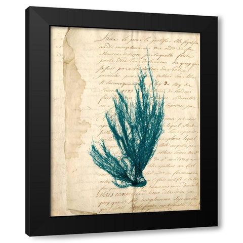 Vintage Teal Seaweed IX Black Modern Wood Framed Art Print by Vision Studio