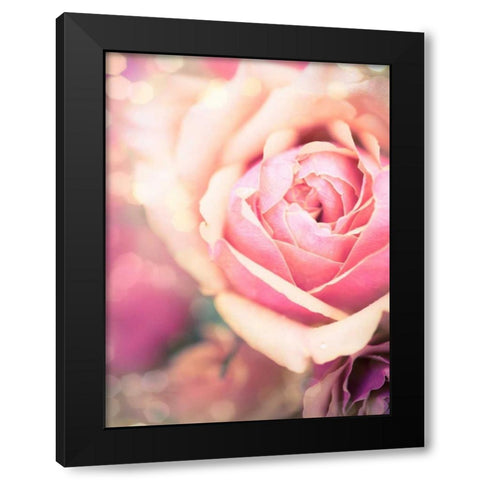 Rosie Pink I Black Modern Wood Framed Art Print with Double Matting by Quintero, Sonja