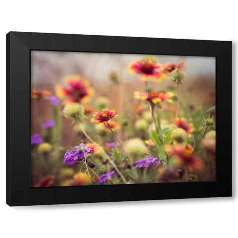 Wild Blooms I Black Modern Wood Framed Art Print with Double Matting by Quintero, Sonja