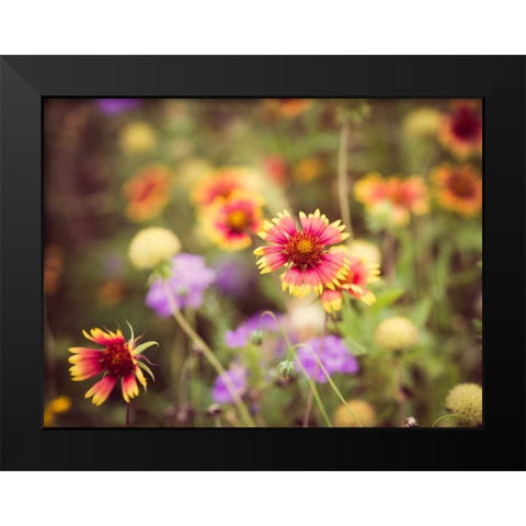 Wild Blooms III Black Modern Wood Framed Art Print by Quintero, Sonja