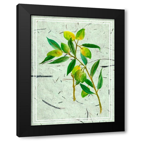 Olives on Textured Paper I Black Modern Wood Framed Art Print with Double Matting by Wang, Melissa