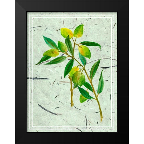 Olives on Textured Paper I Black Modern Wood Framed Art Print by Wang, Melissa