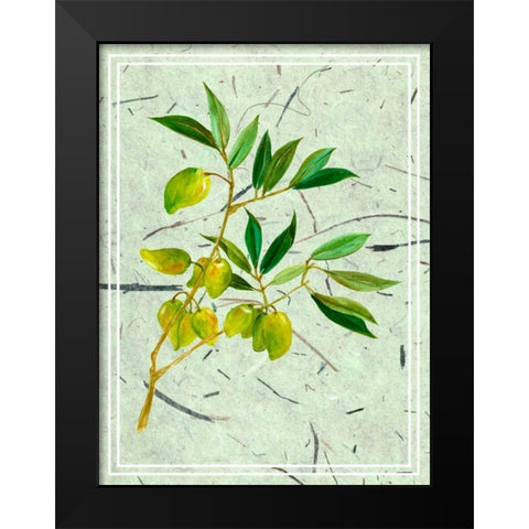 Olives on Textured Paper II Black Modern Wood Framed Art Print by Wang, Melissa