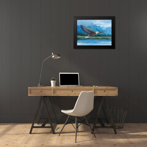 Eagle Soaring Black Modern Wood Framed Art Print by OToole, Tim