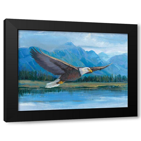 Eagle Soaring Black Modern Wood Framed Art Print by OToole, Tim