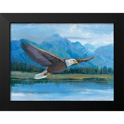 Eagle Soaring Black Modern Wood Framed Art Print by OToole, Tim