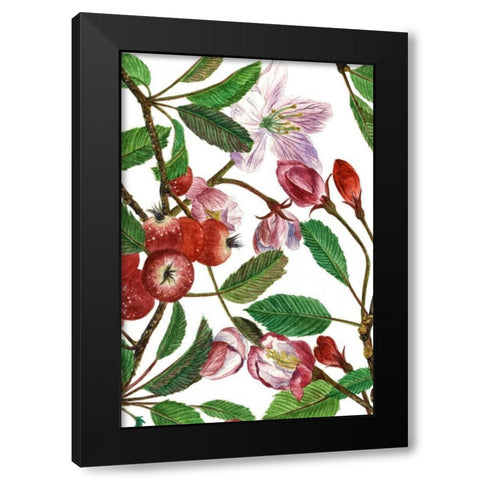 Malus Melliana I Black Modern Wood Framed Art Print with Double Matting by Wang, Melissa