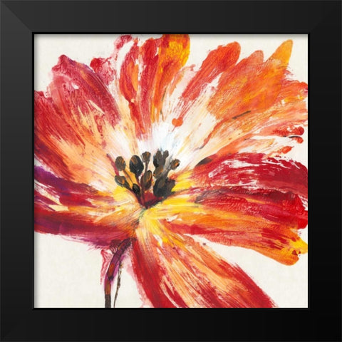 Fleur Rouge I Black Modern Wood Framed Art Print by OToole, Tim