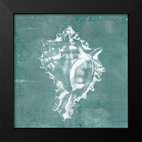 Solitary Shell I Black Modern Wood Framed Art Print by Goldberger, Jennifer