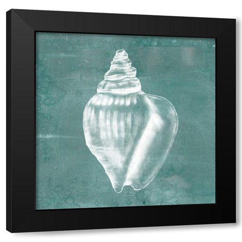 Solitary Shell II Black Modern Wood Framed Art Print by Goldberger, Jennifer
