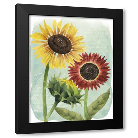 Sunflower Study II Black Modern Wood Framed Art Print with Double Matting by Popp, Grace