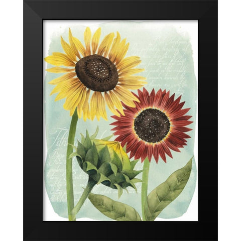 Sunflower Study II Black Modern Wood Framed Art Print by Popp, Grace