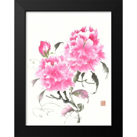 Peonie Blossoms II Black Modern Wood Framed Art Print by Rae, Nan