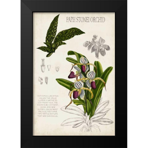 Orchid Field Notes I Black Modern Wood Framed Art Print by McCavitt, Naomi