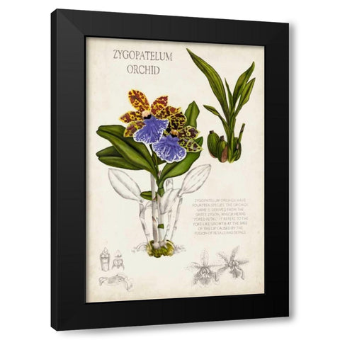 Orchid Field Notes II Black Modern Wood Framed Art Print by McCavitt, Naomi