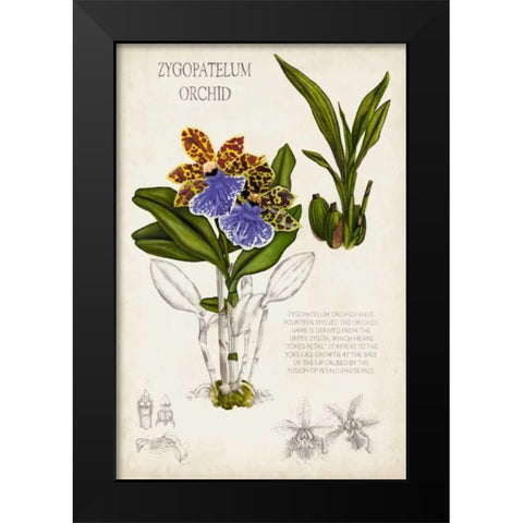 Orchid Field Notes II Black Modern Wood Framed Art Print by McCavitt, Naomi