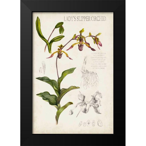 Orchid Field Notes III Black Modern Wood Framed Art Print by McCavitt, Naomi
