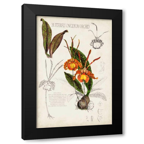 Orchid Field Notes IV Black Modern Wood Framed Art Print with Double Matting by McCavitt, Naomi