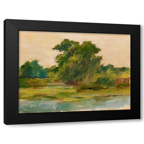 Changing Sunlight I Black Modern Wood Framed Art Print by Harper, Ethan