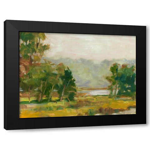 Changing Sunlight II Black Modern Wood Framed Art Print by Harper, Ethan
