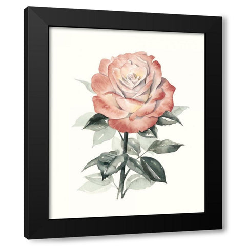 Beholden Rose I Black Modern Wood Framed Art Print with Double Matting by Popp, Grace