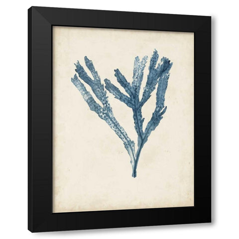 Seaweed Specimens I Black Modern Wood Framed Art Print by McCavitt, Naomi