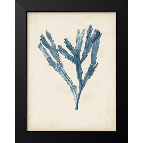Seaweed Specimens I Black Modern Wood Framed Art Print by McCavitt, Naomi