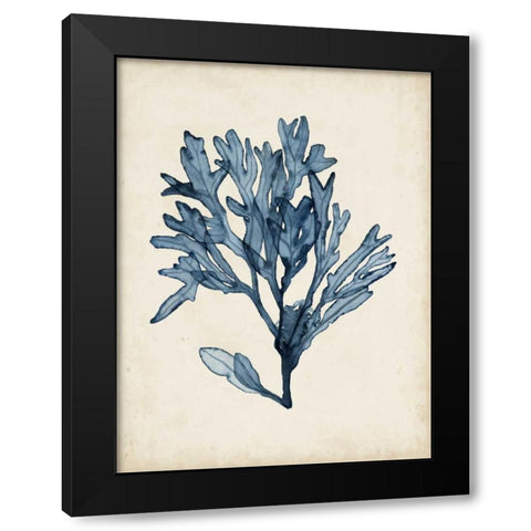 Seaweed Specimens II Black Modern Wood Framed Art Print with Double Matting by McCavitt, Naomi