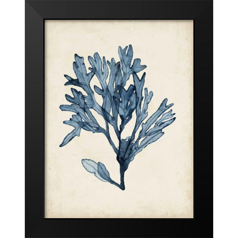 Seaweed Specimens II Black Modern Wood Framed Art Print by McCavitt, Naomi