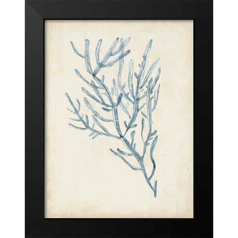 Seaweed Specimens III Black Modern Wood Framed Art Print by McCavitt, Naomi