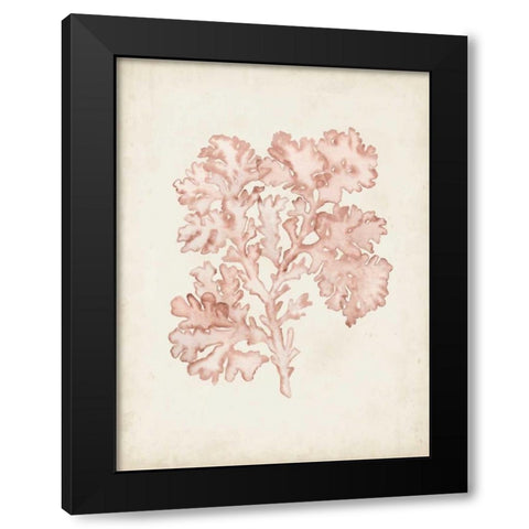 Seaweed Specimens VI Black Modern Wood Framed Art Print by McCavitt, Naomi