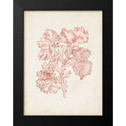 Seaweed Specimens VI Black Modern Wood Framed Art Print by McCavitt, Naomi