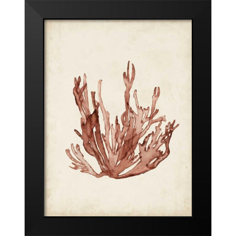 Seaweed Specimens VII Black Modern Wood Framed Art Print by McCavitt, Naomi