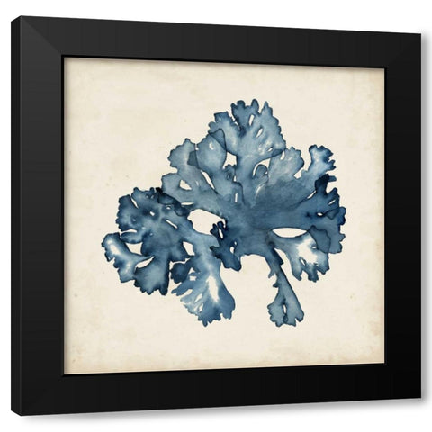 Seaweed Specimens IX Black Modern Wood Framed Art Print by McCavitt, Naomi