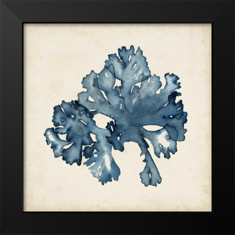 Seaweed Specimens IX Black Modern Wood Framed Art Print by McCavitt, Naomi