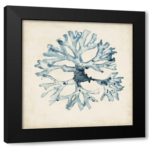 Seaweed Specimens X Black Modern Wood Framed Art Print with Double Matting by McCavitt, Naomi